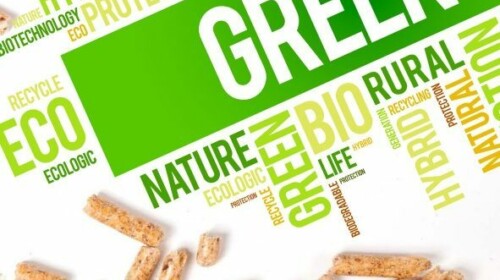 Biomass Energy Service-based Rural Energy Entrepreneurship