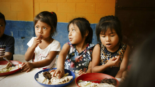 Indirect estimation of food insecurity