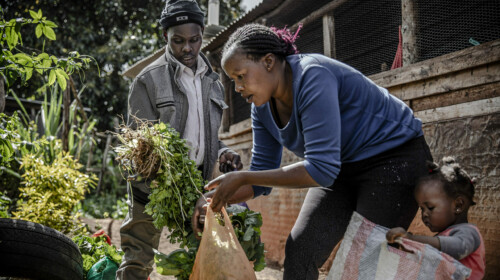 Using small area estimation for data disaggregation of SDG indicators