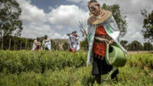 The FAO-UN Women partnership to support countries in producing sex-disaggregated