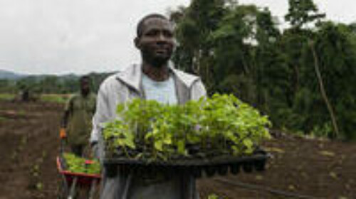 Integrating surveys with geospatial data through small area estimation