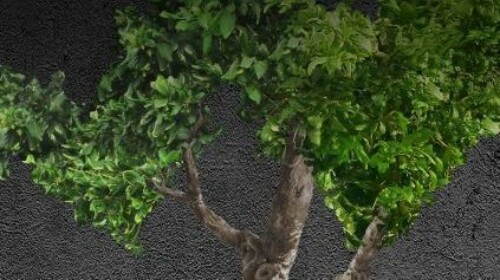 Finding the Money - Financing Climate Action