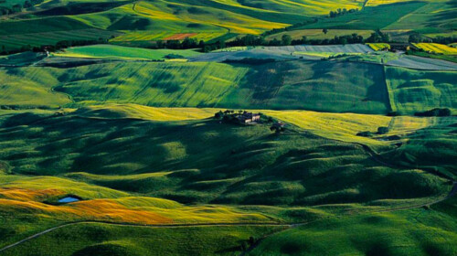 Sustainable Food Systems