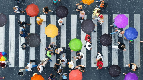 Social Protection Masterclass