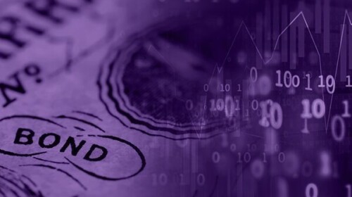 Public Debt Dynamics Under Uncertainty (DDUx)