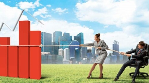 Conceptual Framework for Development of Gender Statistics Programmes