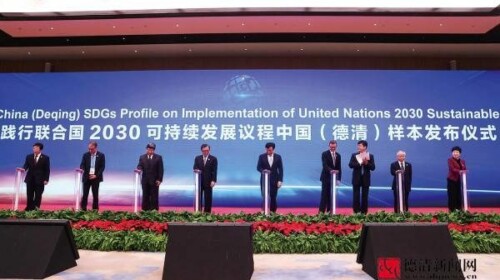 Progress and Insight on Monitoring of SDG