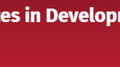 Development Evaluations