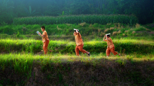 Equity and Inclusion in Education