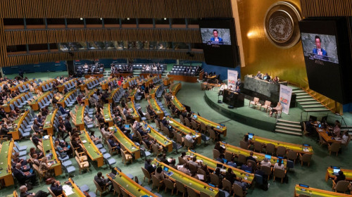 Voluntary National Reviews assessment and analysis