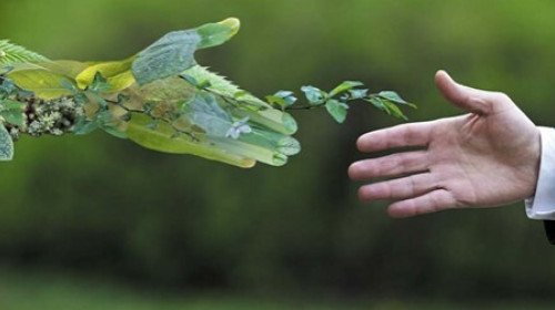 From Risk to Opportunity - A framework for sustainable finance