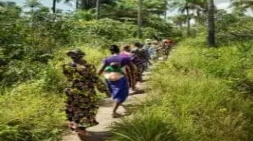 Gender equality pathway for Managers and Programme and Admin staff