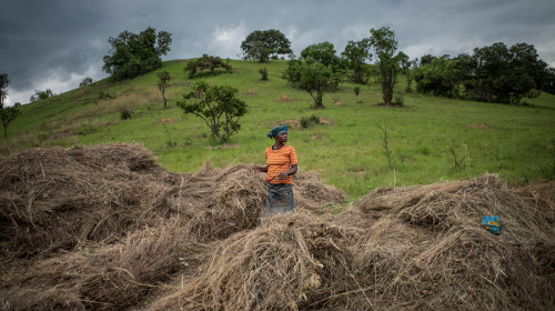 SDG Indicator 2.4.1 Proxy: Progress towards productive & sustainable agriculture