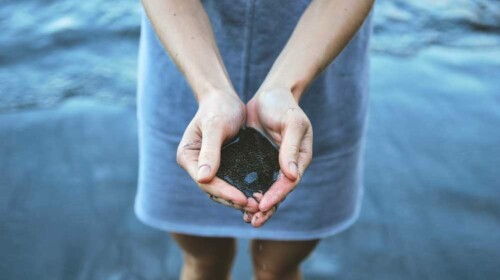 Human Health and Climate Change