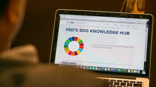SDG Knowledge Hub