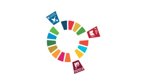 Let’s Engage Arab Youth in Sustainable Development Goals!