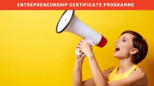 Pitching the Business