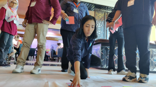 Monitoring, Evaluation, and Learning for National Adaptation Plan Processes