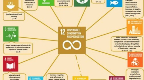 Progress on Sustainable Consumption and Production in the Arab Region