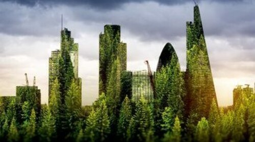 Principles of Sustainable Finance