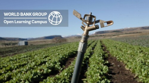 Public-Private-Partnerships (PPP)