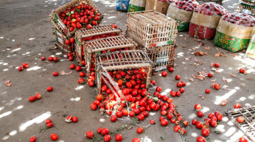 SDG Sub-indicator 12.3.1.a – Food Loss Index