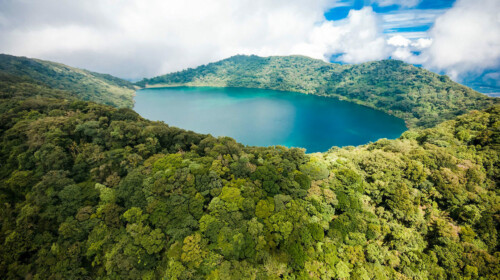 SDG indicators 15.1.1 and 15.2.1 - Forest area and sustainable forest management