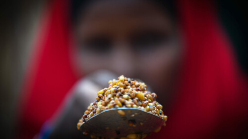 SDG Indicator 2.1.1 - Prevalence of Undernourishment (PoU)