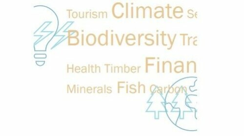 SEEA for Policy Makers