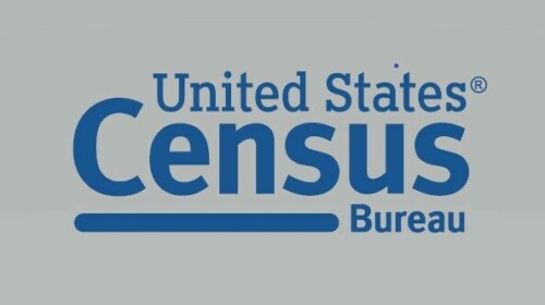 Select Topics in International Censuses